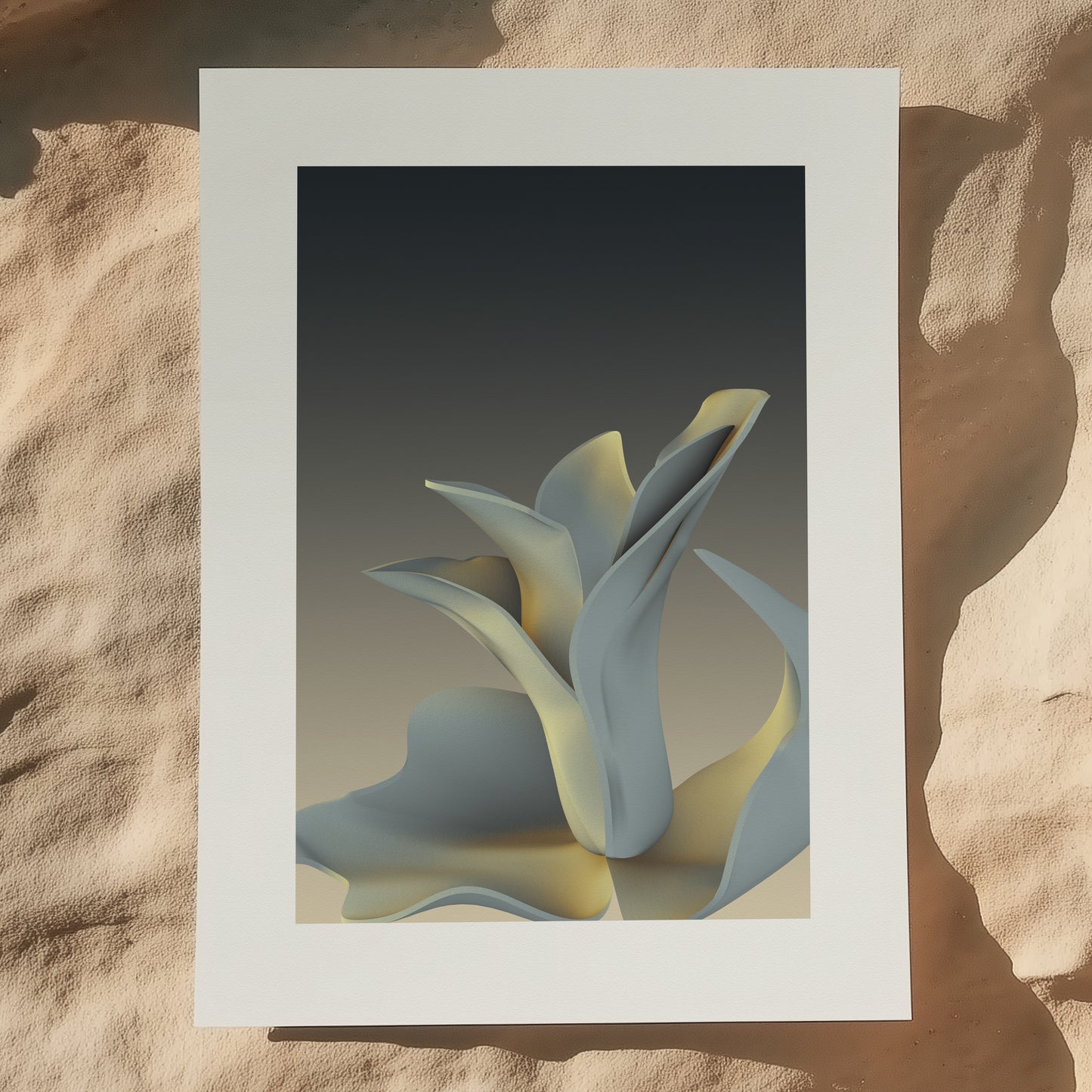 Bloom