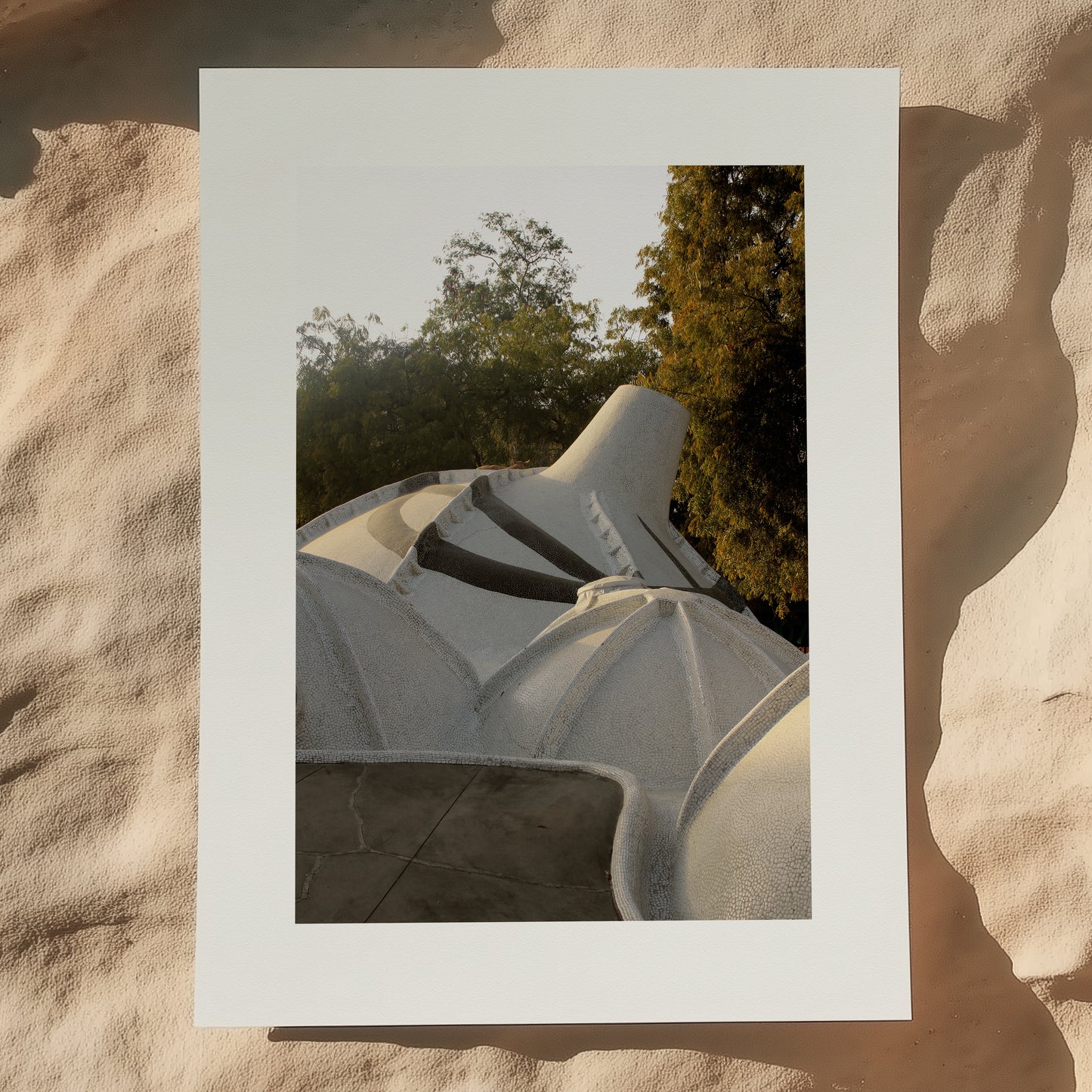 Sunlit Shells